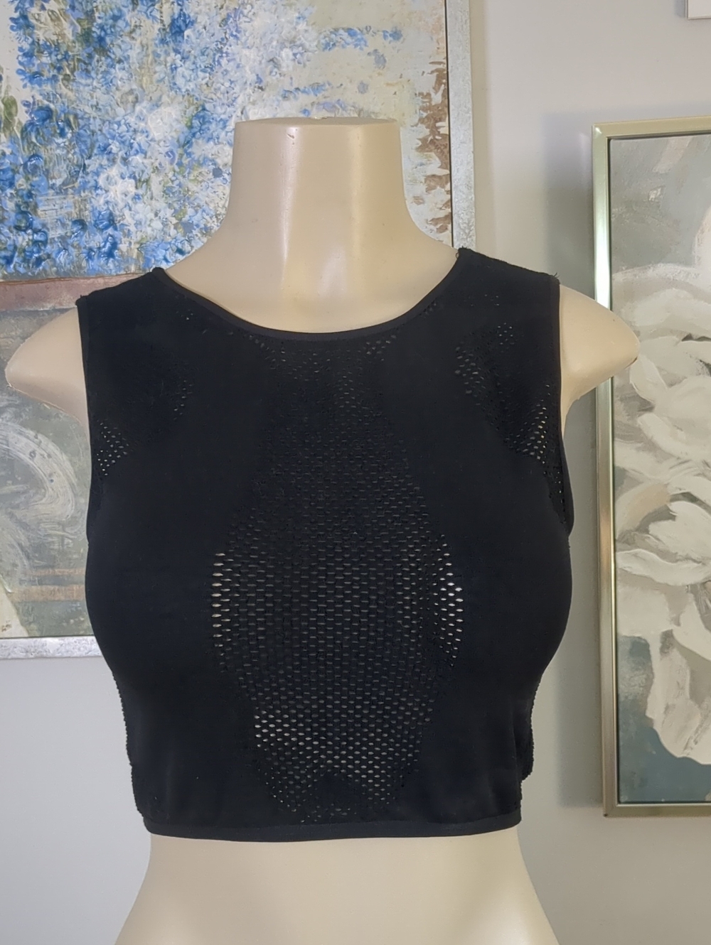 Urban Outfitters Out From Under "Eyes On Me" Seamless Black Mesh Crop Top M/L